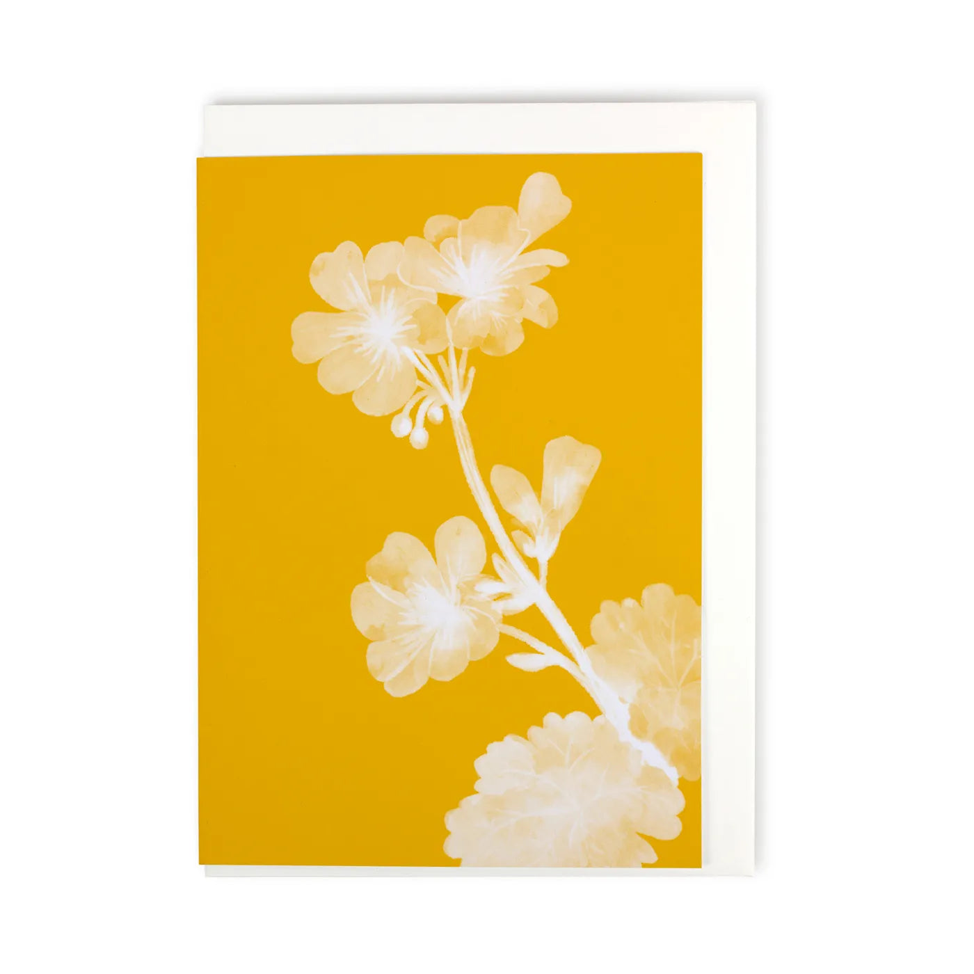 Produktbild Wertvoll FK - Geranium