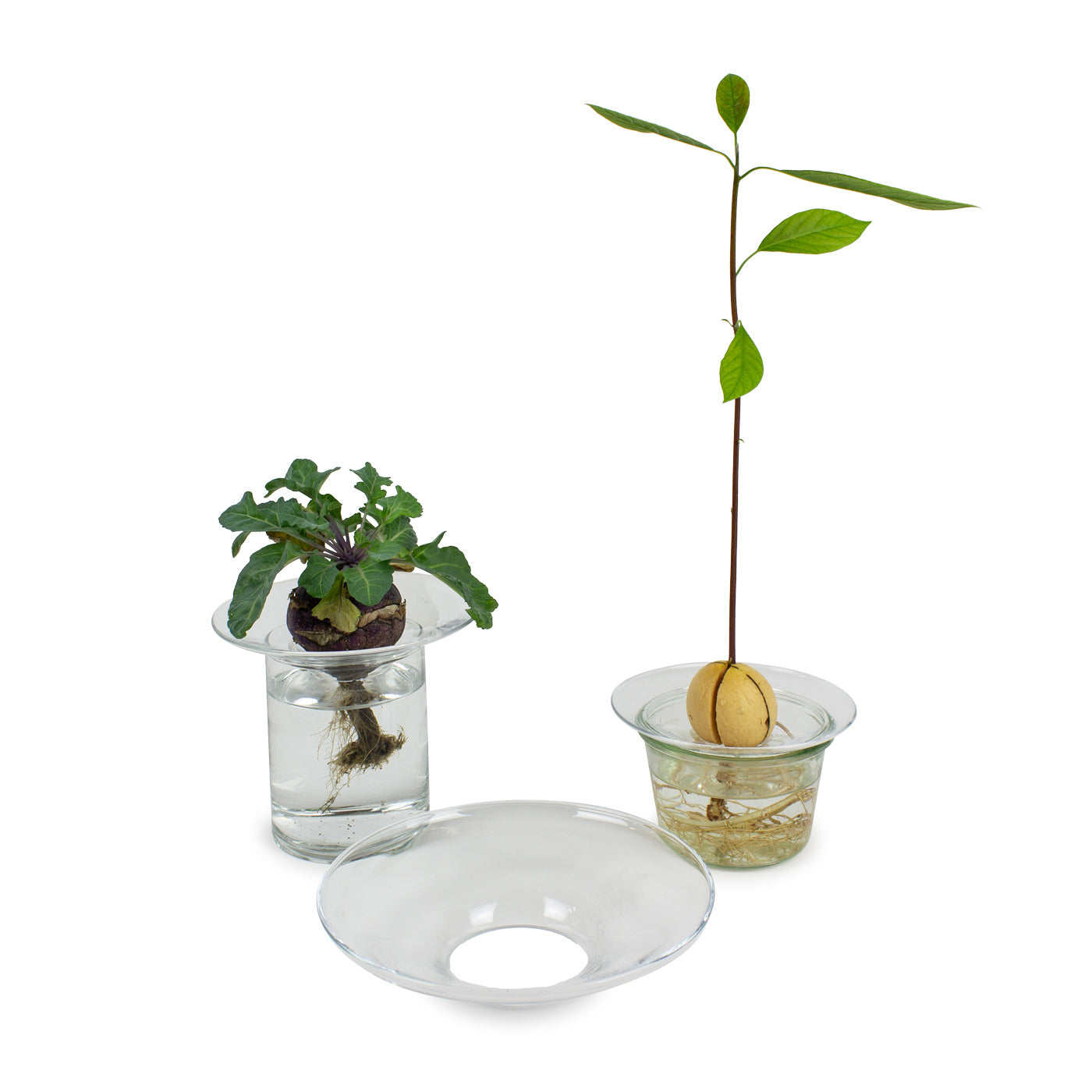 Produktbild-Knollenhalter - S