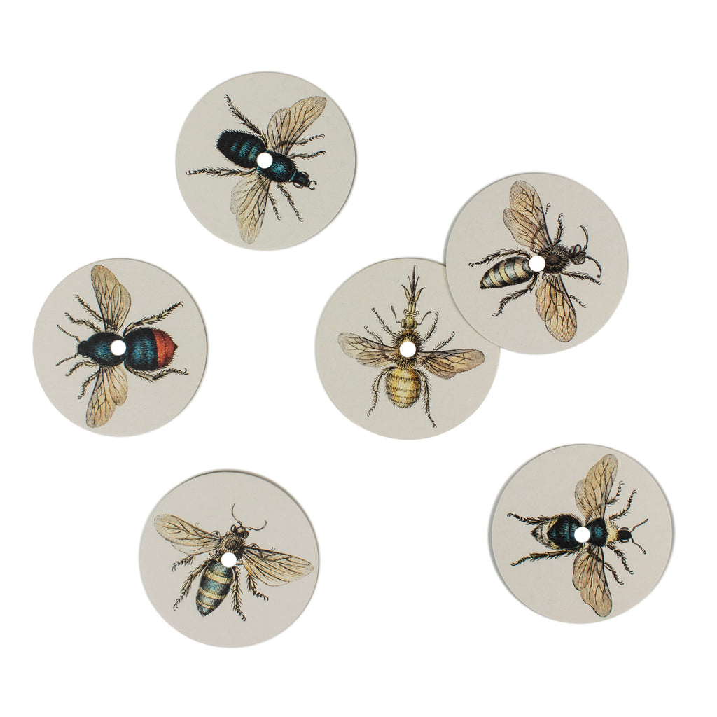 Produktbild-Summ-Summer - Insekten