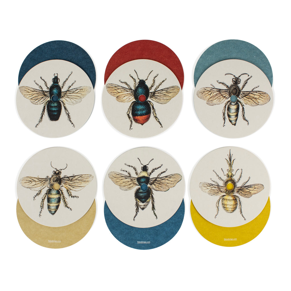 Produktbild-Summ-Summer - Insekten