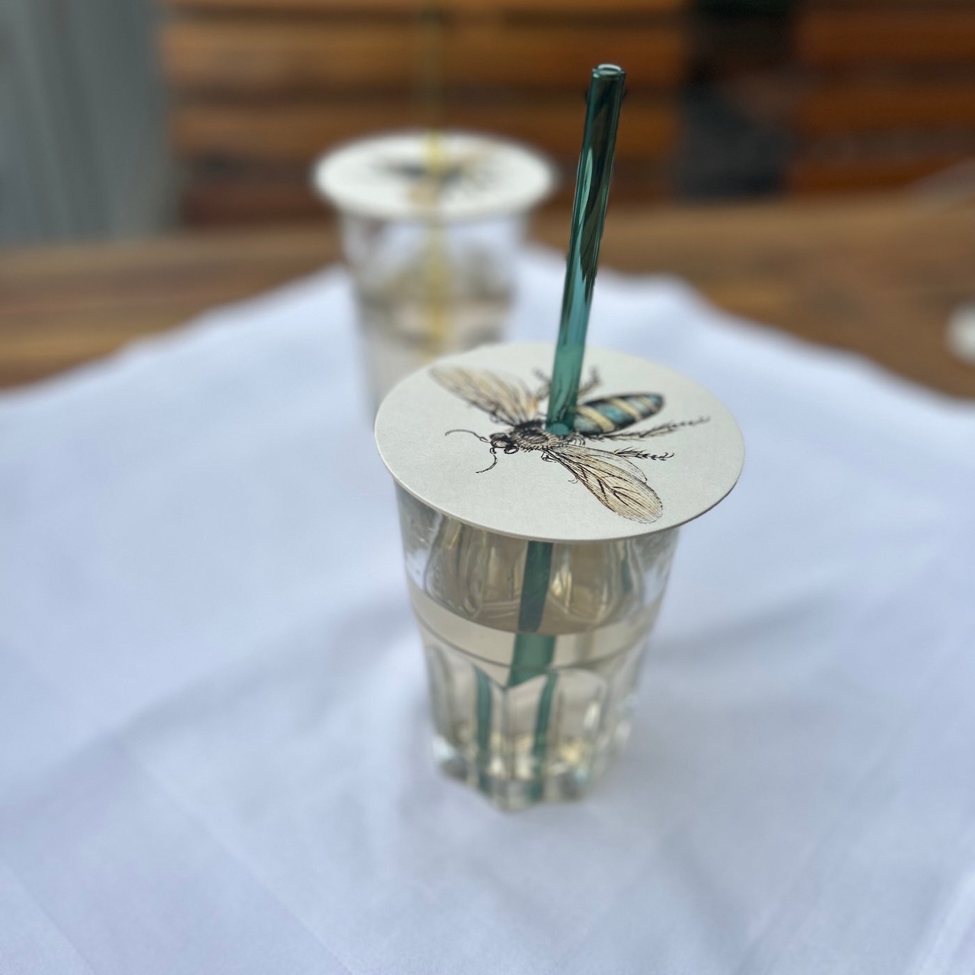 Produktbild-Summ-Summer - Insekten