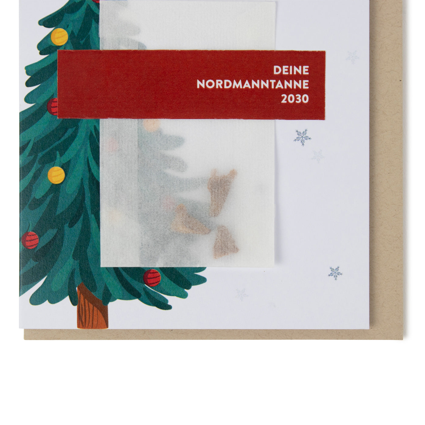 Produktbild-Saatgut - Nordmann Tanne