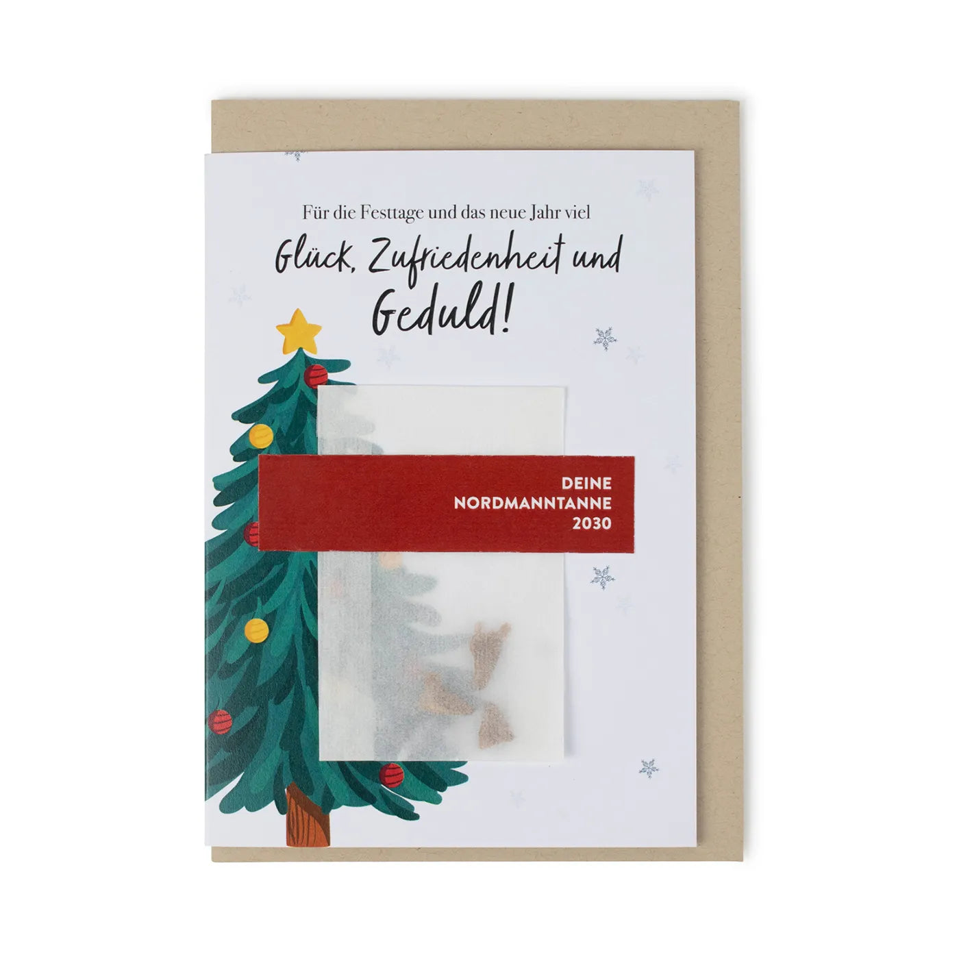 Produktbild-Saatgut - Nordmann Tanne