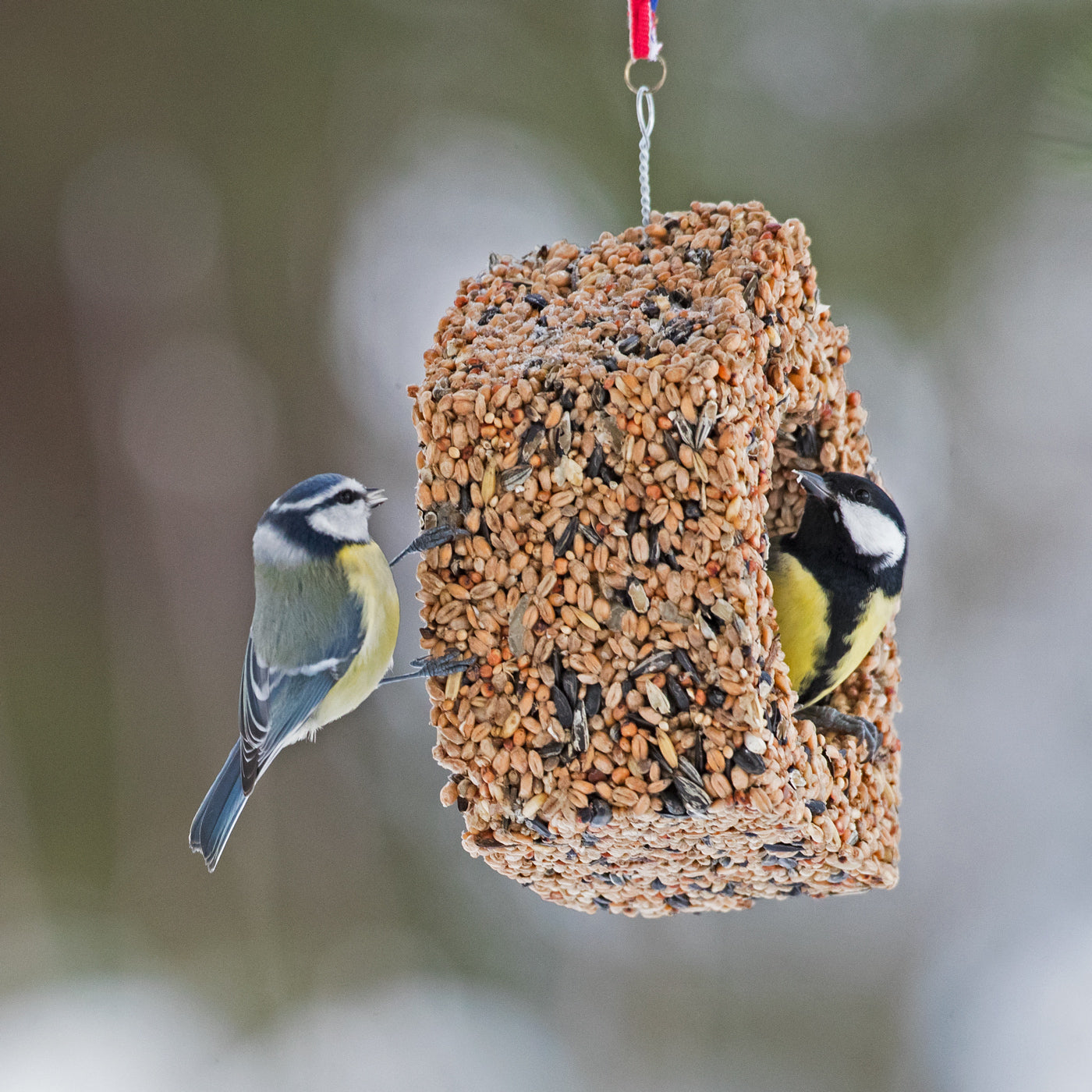 Produktbild Cabane à Oiseaux