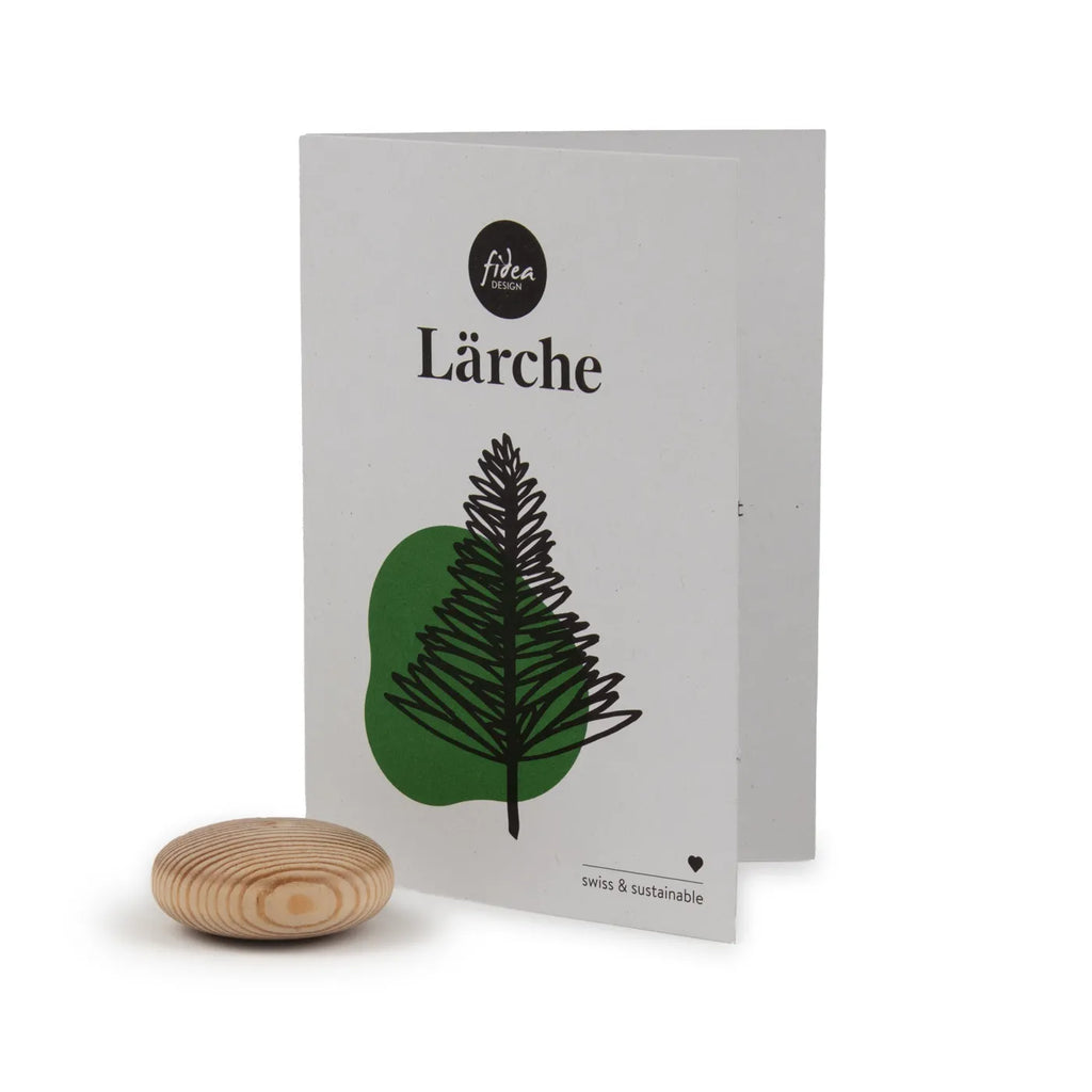 Produktbild-Lebensbaum - Lärche