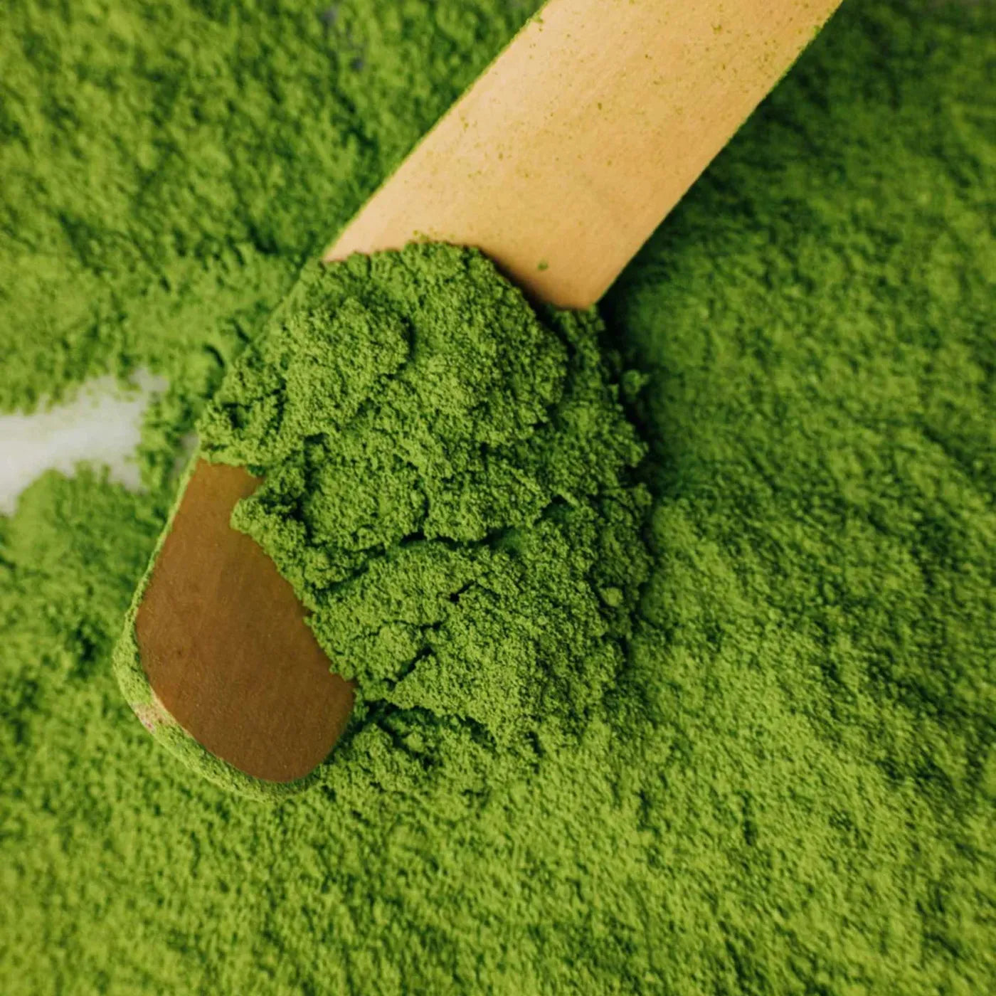 Produktbild-Bio-Matcha Tee Ceremonial