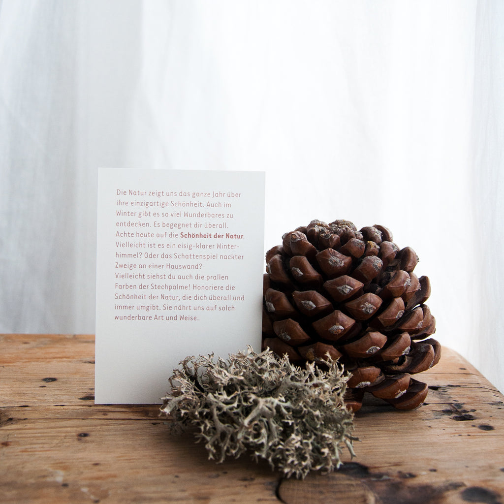 Produktbild-Mini-Adventskalender Achtsamkeit