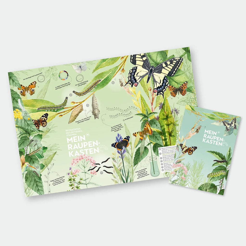 Produktbild-Raupenkasten