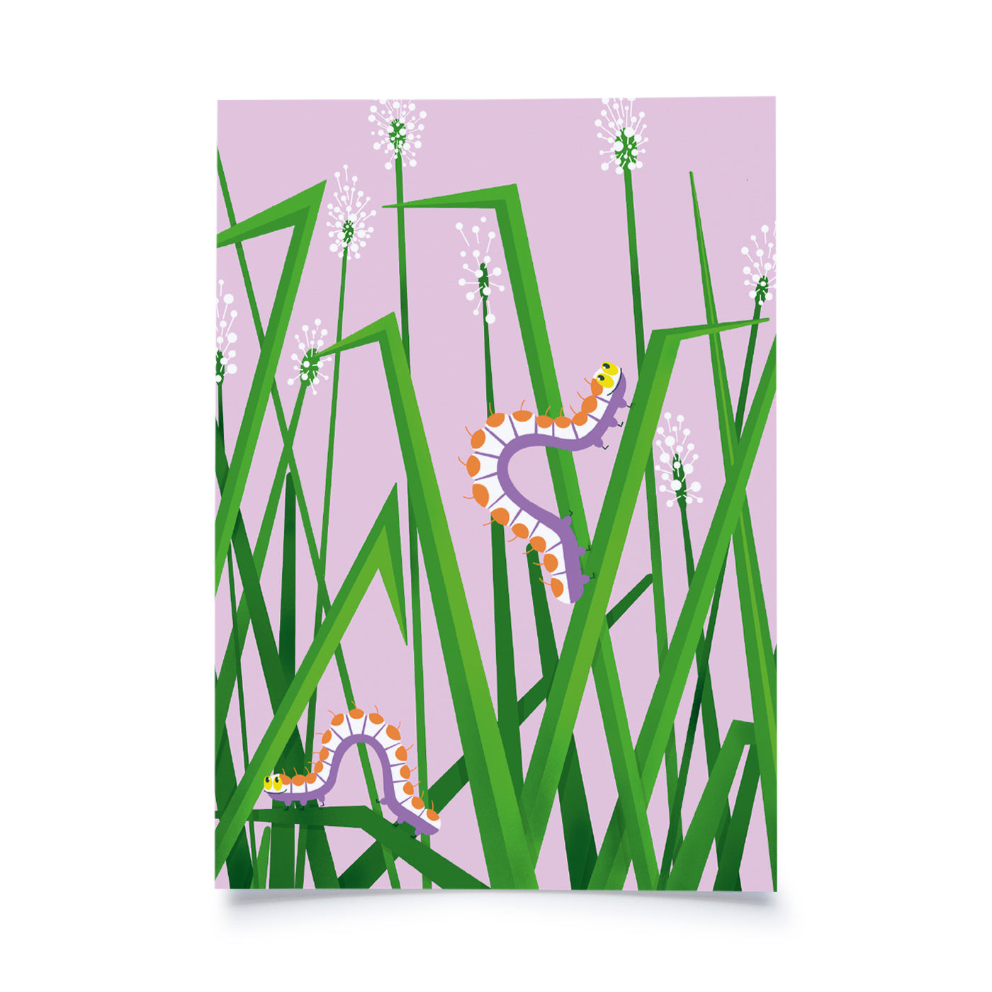 Postkarte - Gartenfreunde - Raupen