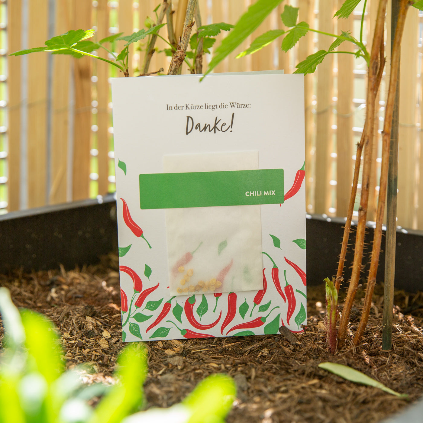 Produktbild Saatgut - Chili