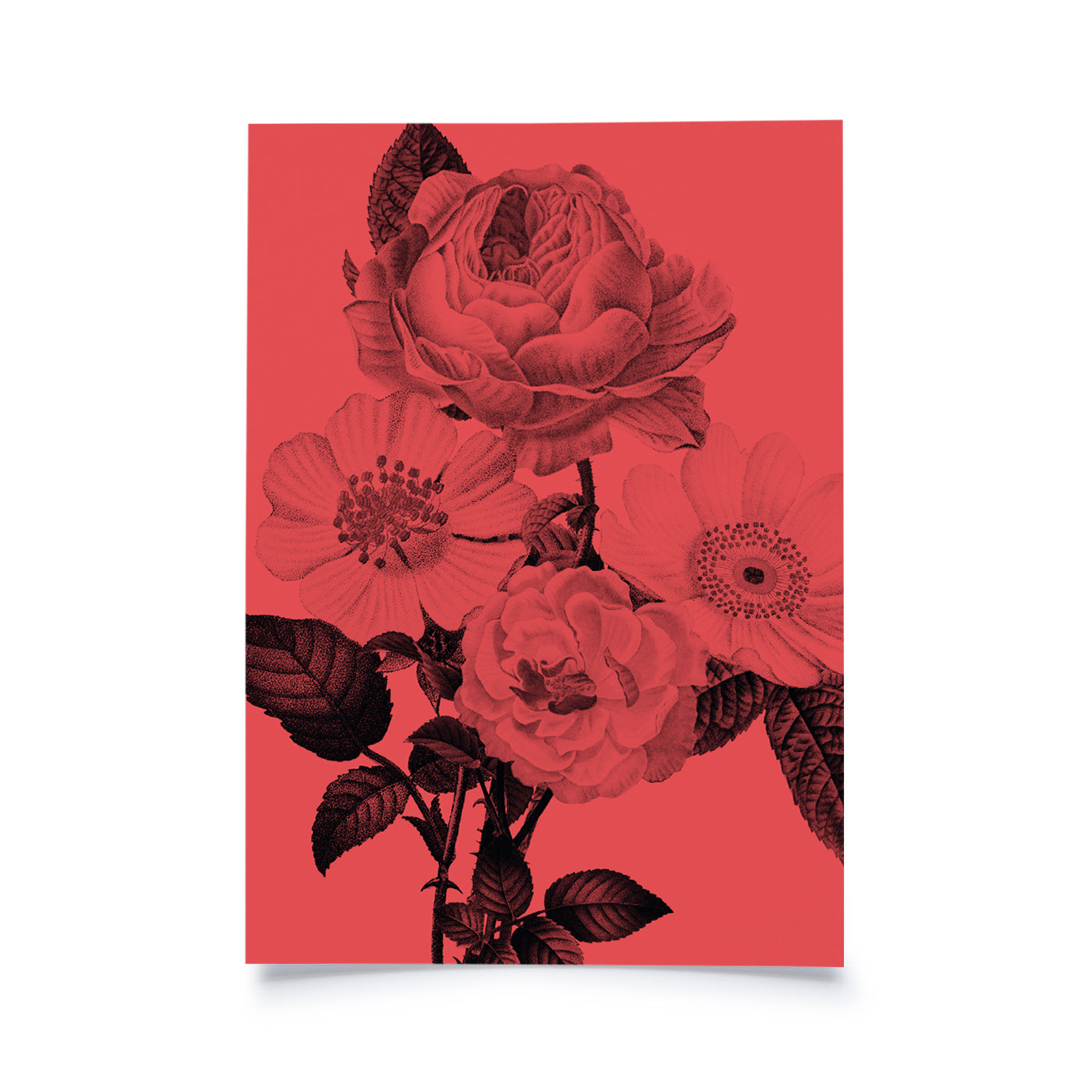 Produktbild Frühlingsblumen - Rot