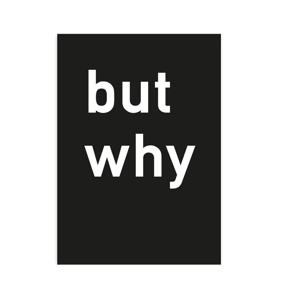 Produktbild but why